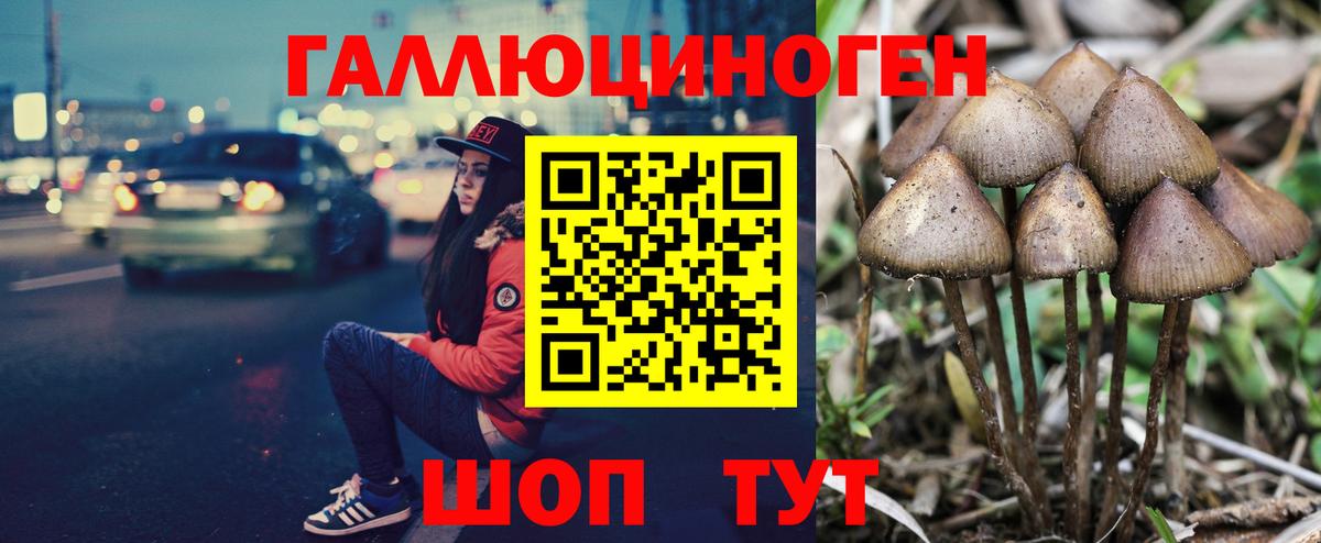 Псилоцибиновые грибы ЛСД Курчалой