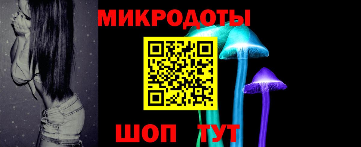 Курчалой  Галлюциногенные грибы Psilocybine cubensis  Вход с VPN 